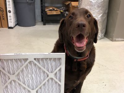 Air Quality Services