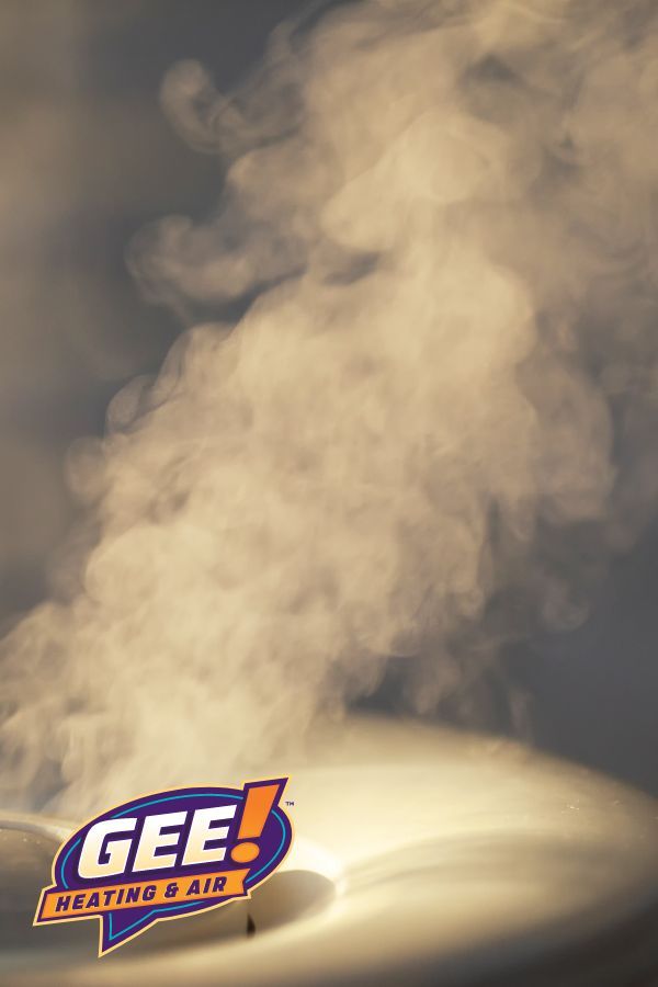 Dehumidifier and Humidifier Installation In Flowery Branch Ga