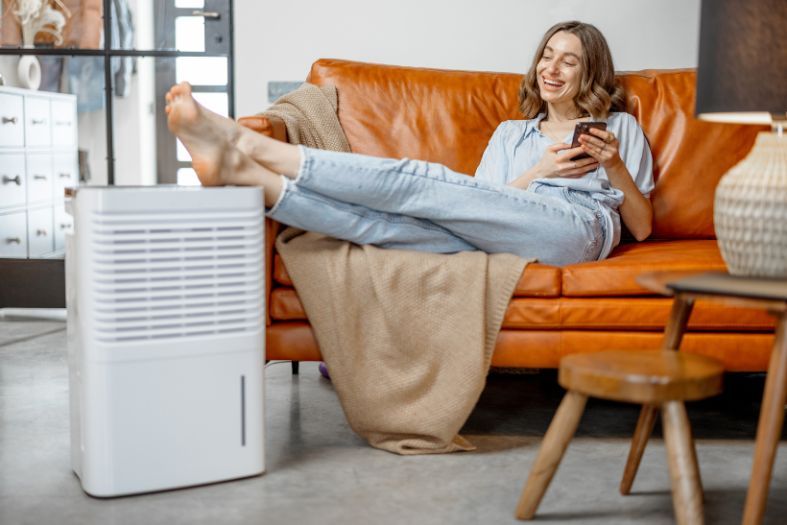 Top Benefits of Installing a Home Dehumidifier